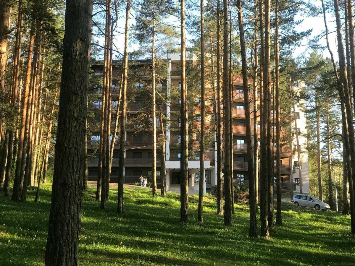 Apartment Mihajlovic Zlatibor Exterior photo